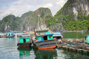 Fototapeta na wymiar Halong Bay floating village, Vietnam
