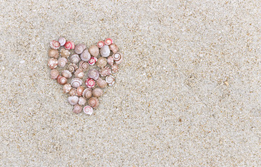 A symbol of love made a Heart shape of the shell on the beach near the sea.