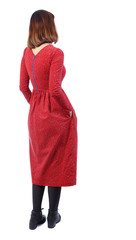 back view of standing young beautiful  woman.