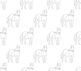 Horse Outline on White Cartoon Background.