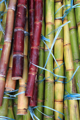 sugarcane texture as nice natural background