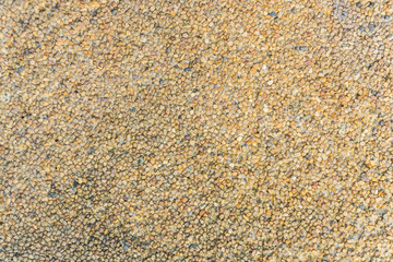 Texture of wall concrete background