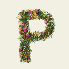 Tea leaf with flowers and fruits, letter P on white background, top view
