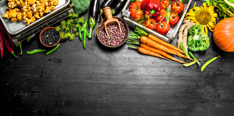 Organic food. Fresh vegetables and mushrooms.