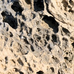 sandstone formation on the island Rab, near Lopar, Croatia