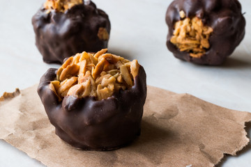 Chocolate Balls with Hazelnut Pieces.
