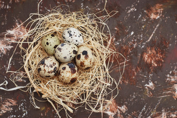 Obraz premium Easter Eggs in bird Nest on Rustic Metal Background. Top View with Copy Paste.
