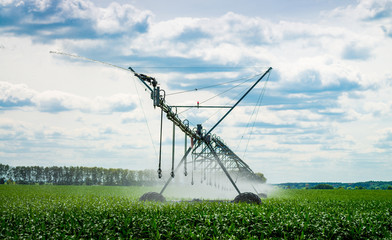 An irrigation pivot watering a field