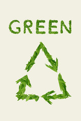 The green dry tea leaf, word GREEN on white background, top view