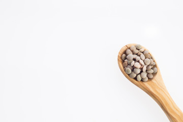 Lentil pardina - Lens culinaris