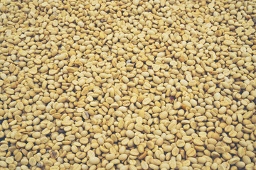 abstract texture background of coffee bean