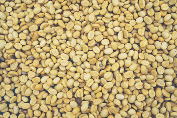 abstract texture background of coffee bean