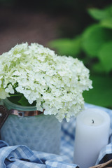 hydrangea flowers in vintage jar with candle and blue tablecloth in summer garden. Decorating and slow country living concept
