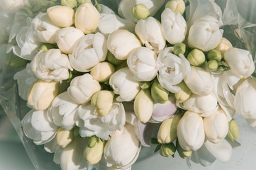 bouquet of freesia