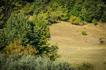 roads from mountains - close up view