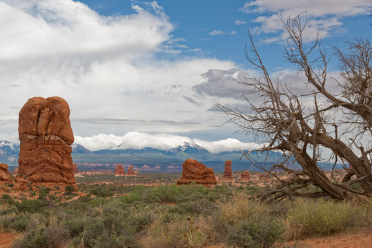The Rocks of the Arches national Park