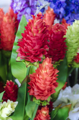 picture of love and Heart