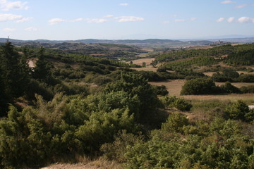 Dolmen de Artajona