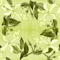 Jasmine - flowers, buds, leaves. Seamless background. Collage of flowers on a watercolor background. Use printed materials, signs, objects, websites, maps, posters, postcards, packaging.