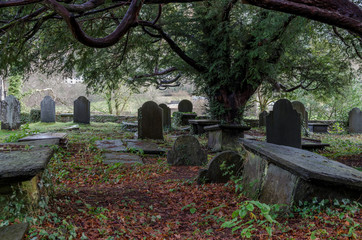 An overgrown historic grave yard in North Wales with some slate head stones