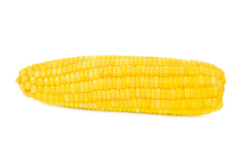 corn isolated on white background