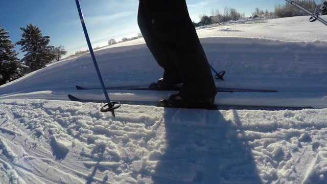 Mother pulls her children while cross country skiing