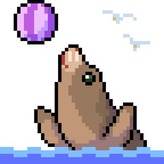 vector pixel art sea lion play ball