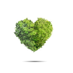 Green leaves shapes heart over white