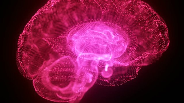 Virtual or Digital Hologram Human Brain Model made of Light Particles Animated Motion Background Seamless Looping Pink Magenta - Powered by Adobe