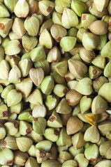 Human important food, oats