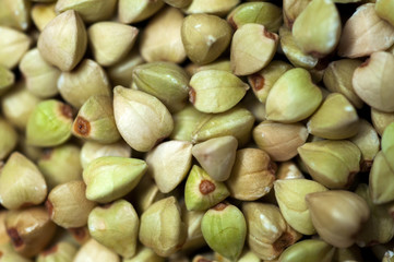 Human important food, oats