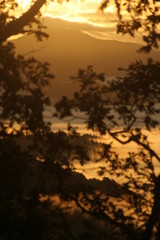 Automne Pyr&eacute;nn&eacute;es