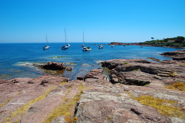 rocky beach on the sea