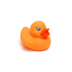 Yellow rubber duck on white