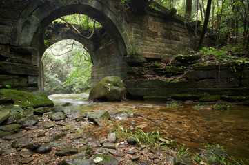 ruins of an ancient bridge in the forest