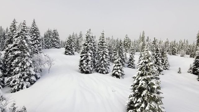 Stunning Drone footage over a mountain forest in the swiss Jura Mountains. Fresh snow covers the mountains, trees and High mountain Pass.