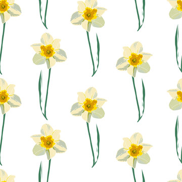 Elegance Seamless pattern with flowers narcissus