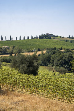 Landscape in Umbria near Todi