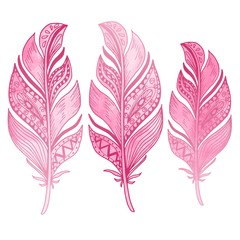 Beautiful hand drawn feather doodle, curly boho sketch with watercolor pink texture isolated on white background. Vintage vector illustration.