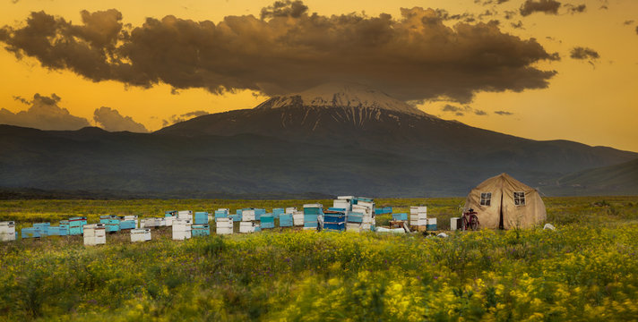 Beehives and tents   Igdir - Turkey 