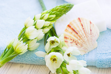 Aromatherapy Spa Concept with a bar of soap, terry towels, sea shells and white flower on white wooden background, close up