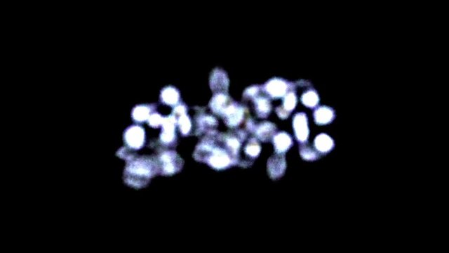 A study of the pathogen under the microscope
