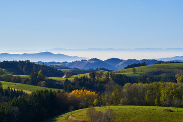 Fototapeta na wymiar Panorama Rheintal Schwarzwald