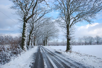 Country road through a wintry landscape