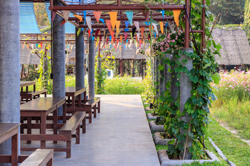 Empty pedestrian walkway with steel pole and pumpkin vine in the garden.