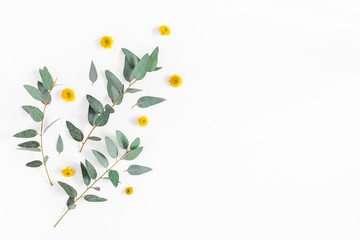 Flowers composition. Pattern made of yellow flowers and eucalyptus branches on white background. Flat lay, top view, copy space