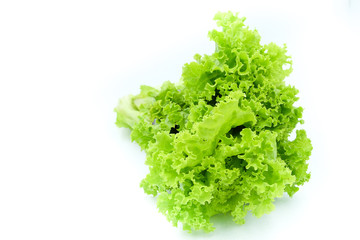 Lettuce isolated on white background