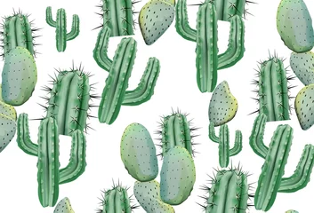 Raamstickers Cactus Cactus patroon textuur op witte Vector. Moderne achtergronden