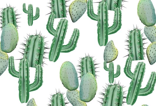 Cactus pattern texture on white Vector. Modern backgrounds