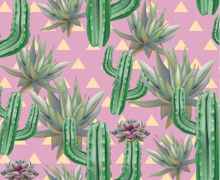 Cactus pattern texture Vector. Modern pink backgrounds